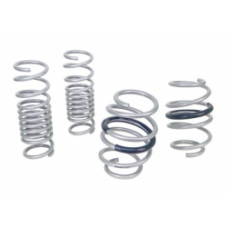 Coil Springs - Lowered
