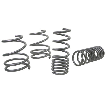 Coil Springs - Lowered