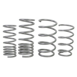 Coil Springs - Lowered