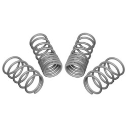 Coil Springs - Lowered