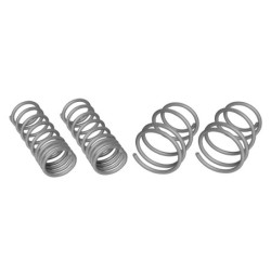 Coil Springs - Lowered