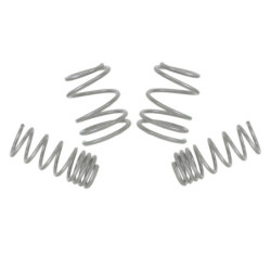 Coil Springs - Lowered