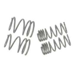 Coil Springs - Lowered