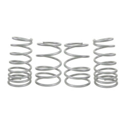 Coil Springs - Lowered