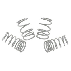 Coil Springs - Lowered