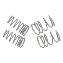Coil Springs - Lowered