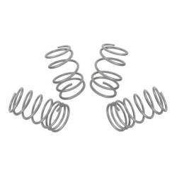 Coil Springs - Lowered