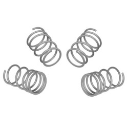 Coil Springs - Lowered