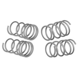 Coil Springs - Lowered