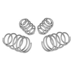 Coil Springs - Lowered