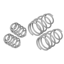 Coil Springs - Lowered