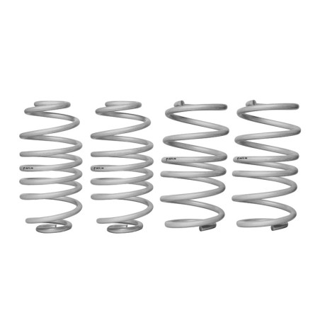 Coil Springs - Lowered