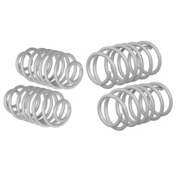 Coil Springs - Lowered