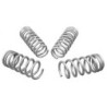 Coil Springs - Lowered