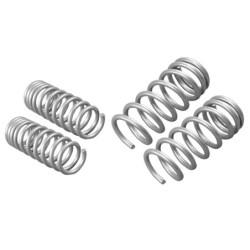 Coil Springs - Lowered