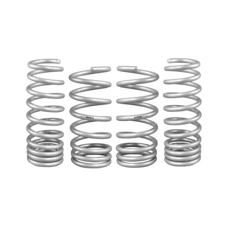 Coil Springs - Lowered
