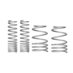 Coil Springs - Lowered