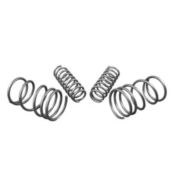 Coil Springs - Lowered