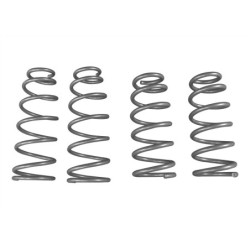 Coil Springs - Lowered