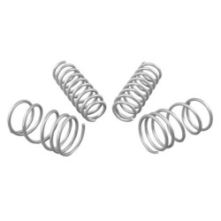 Coil Springs - Lowered
