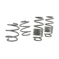 Coil Springs - Lowered