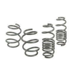 Coil Springs - Lowered