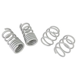 Coil Springs - Lowered