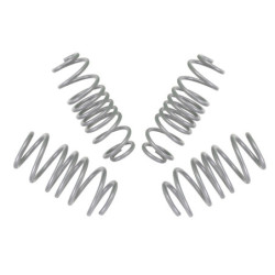 Coil Springs - Lowered