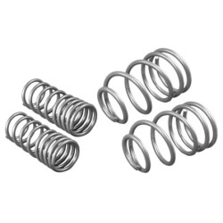 Coil Springs - Lowered