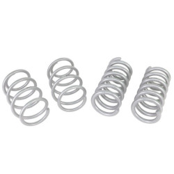 Coil Springs - Lowered