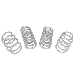 Coil Springs - Lowered