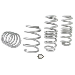 Coil Springs - Lowered