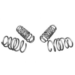 Coil Springs - Lowered