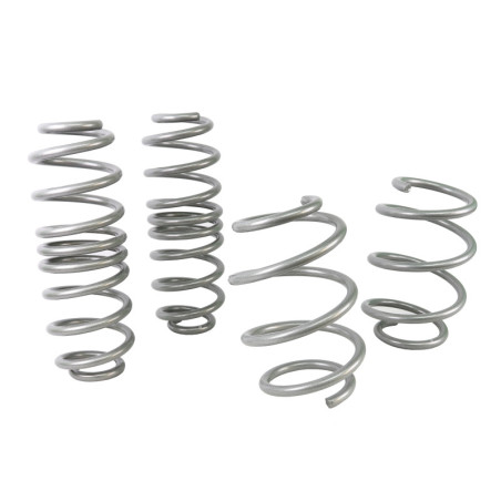 Coil Springs - Lowered