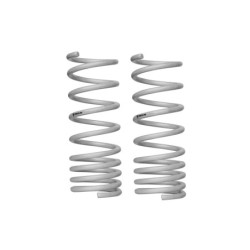 Coil Springs - Lowered