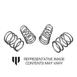 Coil Springs - Lowered