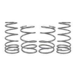 Coil Springs - Lowered