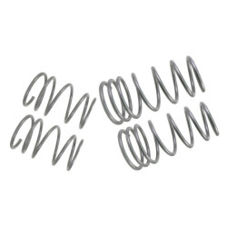 Coil Springs - Lowered
