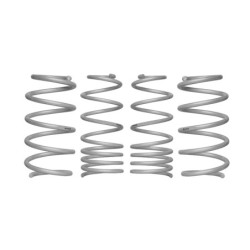 Coil Springs - Lowered