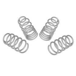 Coil Springs - Lowered