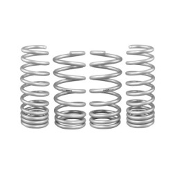 Coil Springs - Lowered