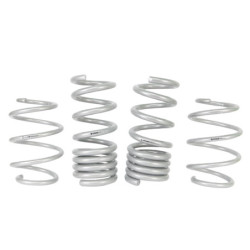 Coil Springs - Lowered