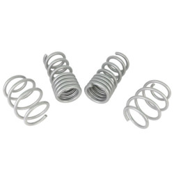 Coil Springs - Lowered