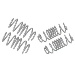 Coil Springs - Lowered