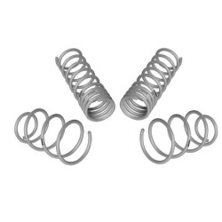 Coil Springs - Lowered