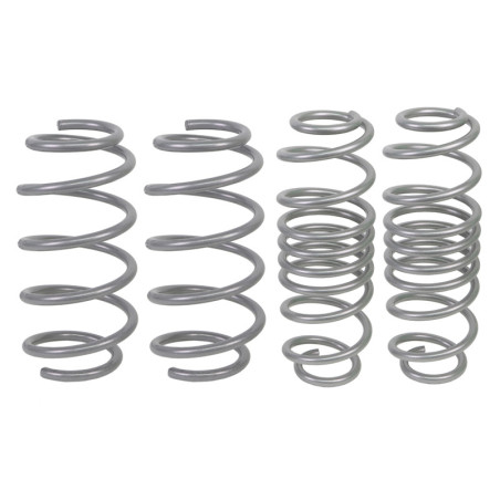 Coil Springs - Lowered