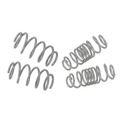 Coil Springs - Lowered