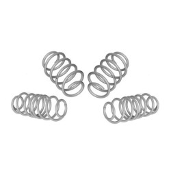 Coil Springs - Lowered