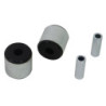 Trailing Arm Lower - Bushing Kit