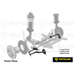 Control and Radius Arm Lower - Arm Assembly